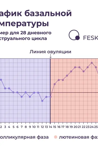 Как измерить базальную температуру тела