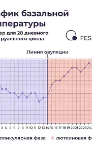 Как измерить базальную температуру тела